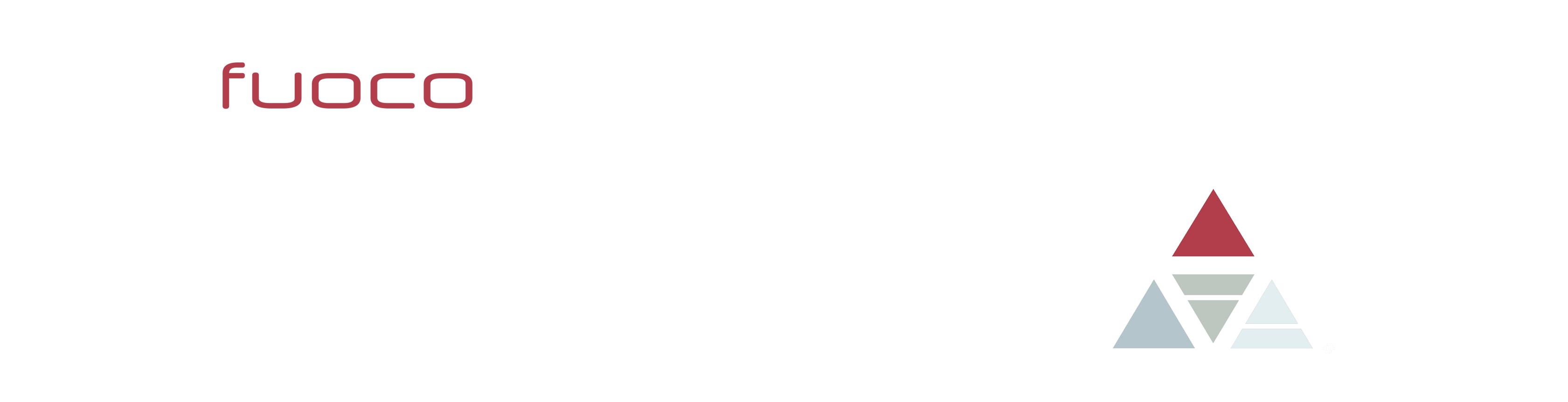 fgr-system-fuoco